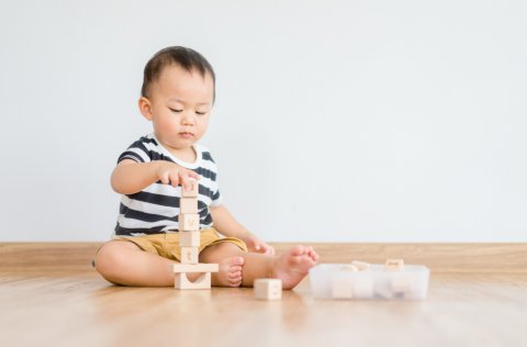 積み木 2歳 日本人 子供