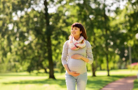 妊婦 妊娠中 日本人