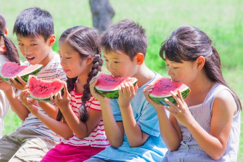 夏休み 小学生 日本人 子供 スイカ