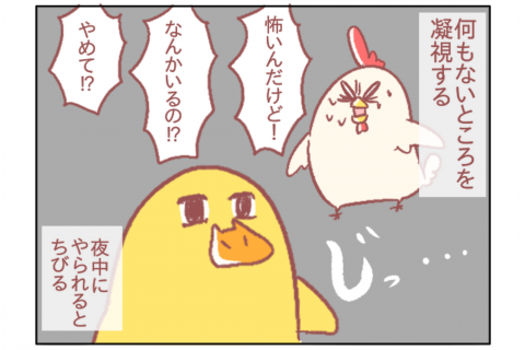 新生児はほんとうに不思議。|鳥谷丁子のオモテ育児・ウラ育児#14
