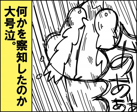 ゆゆ家 連載21話5
