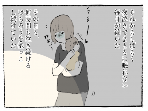 こぐま居候中。 第9話 がじゅまる
