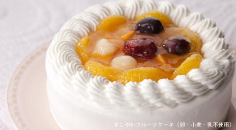 要出典 【卵乳小麦アレルギー対応】すこやかフルーツケーキ