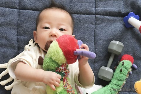 ぬいぐるみ 赤ちゃん