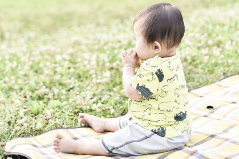 外 ピクニック お弁当