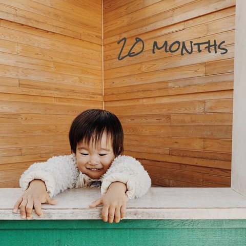 baby新規記事 1y8m