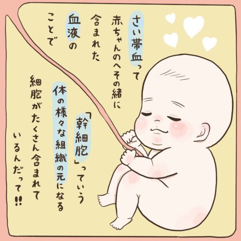 記事広告 ステムセル研究所 さい帯血バンク ゆんさん 漫画 7