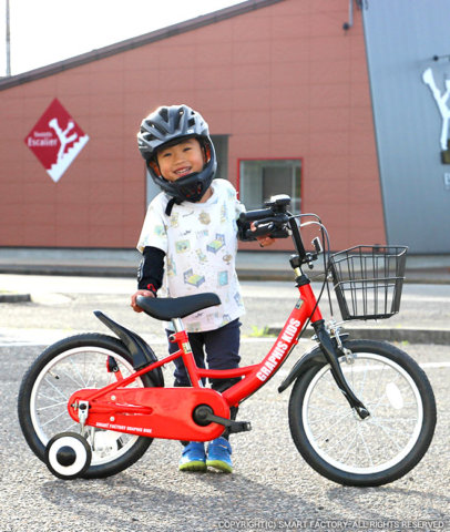 要出典 3歳 自転車 GRAPHIS GR16 子供用自転車 14インチ