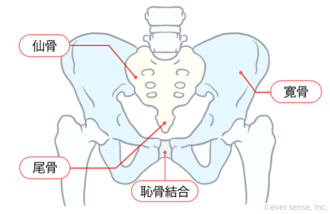 産後 骨盤 骨盤体操