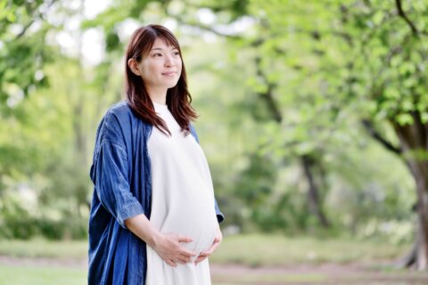 妊婦 お腹 2480754_m