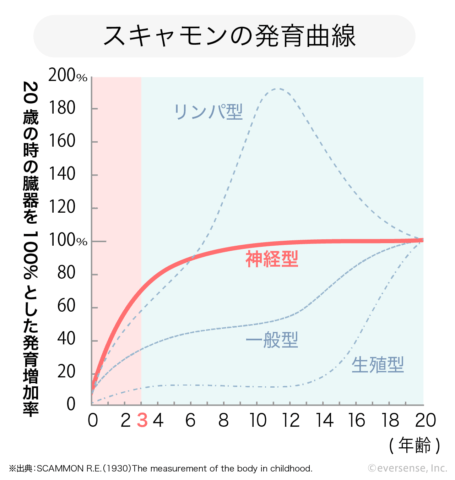 スキャモンの発育曲線