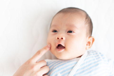 赤ちゃん 新生児 スキンシップ 吸啜反射