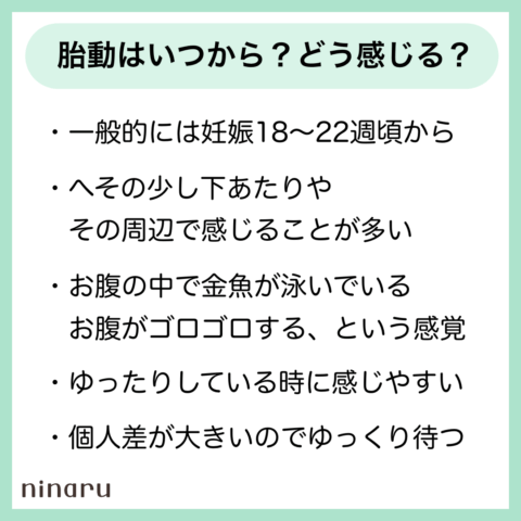胎動はいつから?