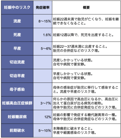 リスク 概要