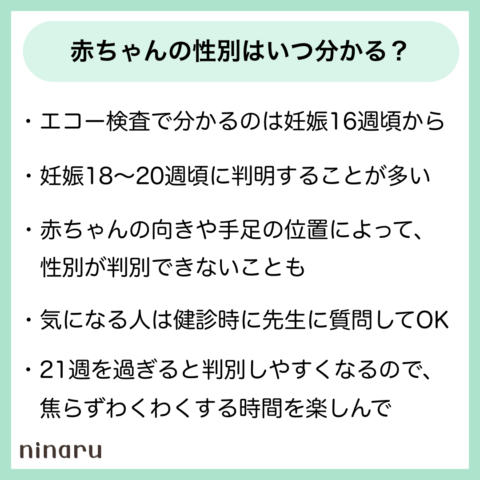 赤ちゃんの性別はいつ分かる?