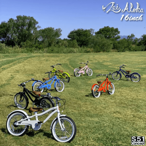 要出典 幼児自転車 レイアロハ
