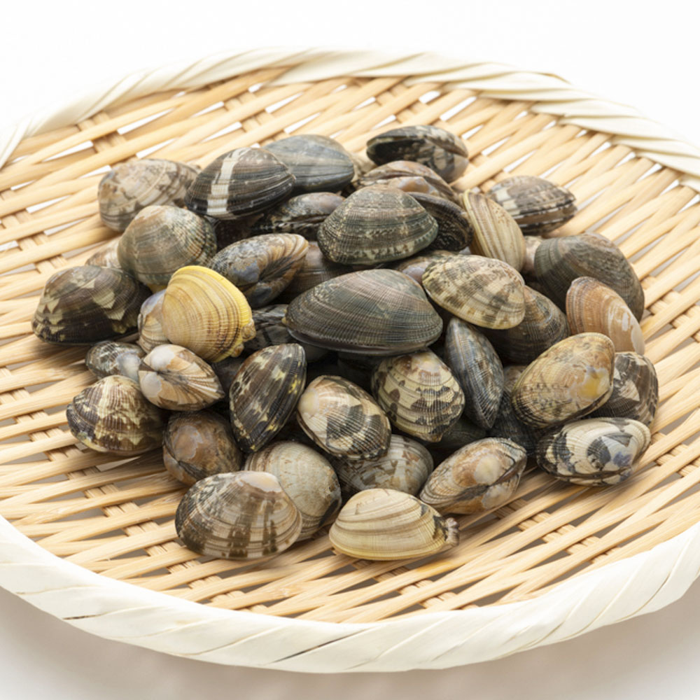 あさりはいつからあげていい 離乳食で注意することは こそだてハック