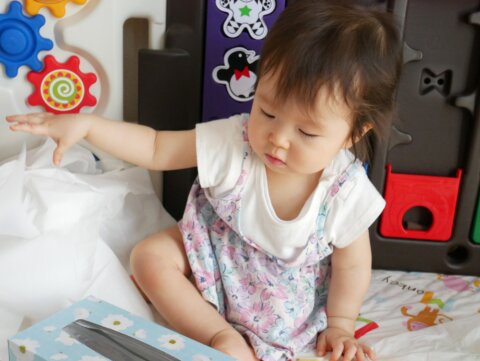赤ちゃん いたずら ティッシュ 女の子 日本人