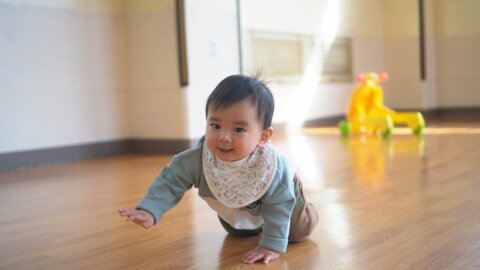 赤ちゃん ハイハイ