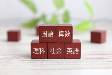 小学生 教科 科目